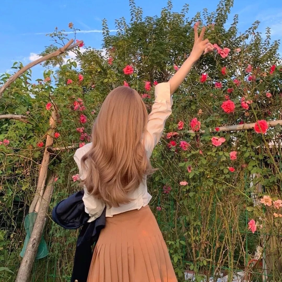 夏威夷火山历险记